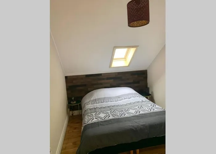 Vichy Cocoon Appartements